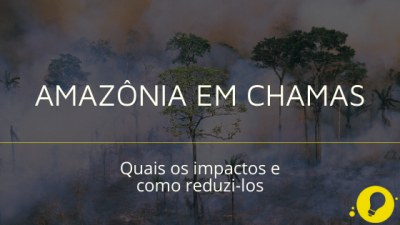 Amazonia em chamas