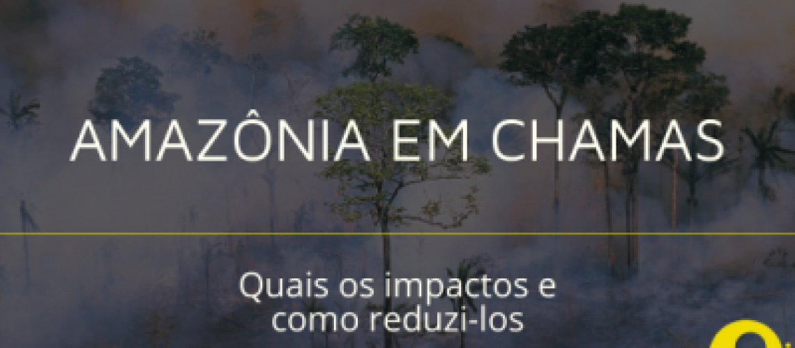 Amazonia em chamas